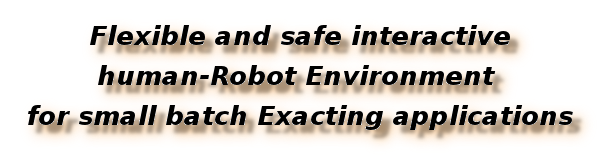 Flexible and safe interactive human-Robot Environment for small batch Exacting applications